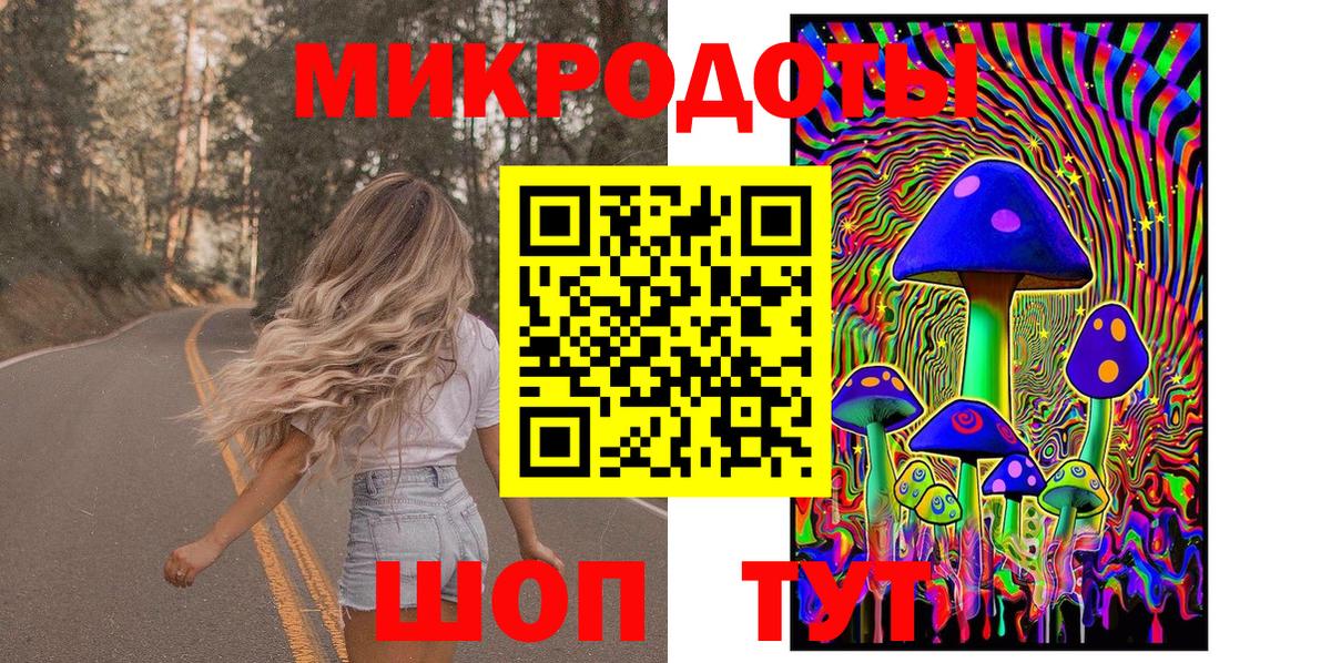 Галлюциногенные грибы Psilocybe  Псилоцибиновые грибы GOLDEN TEACHER  Михайловск  Вход с VPN 