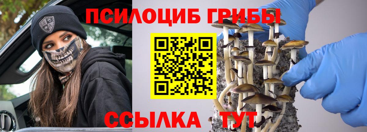 Галлюциногенные грибы ЛСД Михайловск